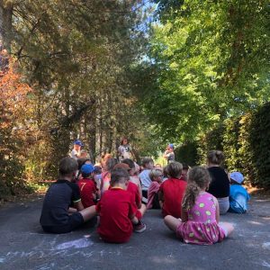 Struisvogelnest_Kinderboerderij_Lier_groepen/scholen