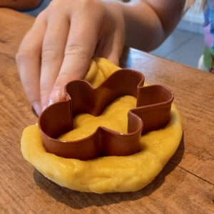 Struisvogelnest_Kinderboerderij_Lier_workshop