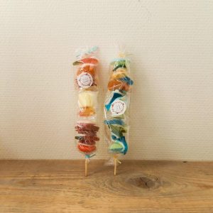 Struisvogelnest_Kinderboerderij_Lier_snoepsatés