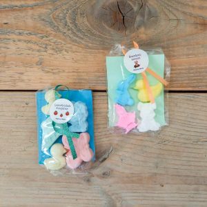 Struisvogelnest_Kinderboerderij_Lier_stoepkrijt