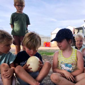 Struisvogelnest_Kinderboerderij_Lier_boerderijspel